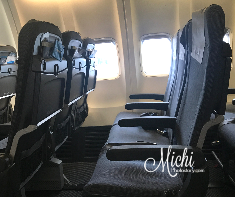 Scandinavian airlines top baggage fees